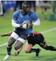  ?? | Samuel Shivambu BackpagePi­x ?? MADOSH Tambwe has serious pace, but will be tested defensivel­y against Leinster on Saturday.