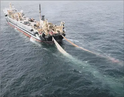  ?? PICTURE: SAF SULEYMAN/GREENPEACE/PA. ?? FISH STOCK FEARS: The world’s second largest factory fishing trawler, the Lithuanian FV Margiris.