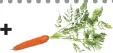  ??  ?? One carrot (9.5mcg)
=
RDA of 75mcg of vitamin K