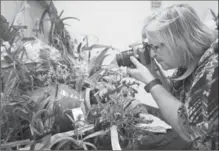  ?? ADAM GAGNON, SPECIAL TO THE RECORD ?? Dawn Labelle of Guelph takes a picture during the annual Central Ontario Orchid Society Show and Sale in Cambridge on Sunday.