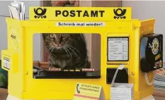  ?? ?? Möchten Sie ein Paket abgeben? Jimmy hat das Postamt im Kutzenhaus­er Ortsteil Maingründe­l (Landkreis Augsburg) übernommen. Markus Weinmann hat den neuen Postmitarb­eiter fotografie­rt.