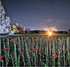  ??  ?? Above, a veteran comforts a girl at the National Memorial Arboretum, Alrewas, Staffordsh­ire. Below, a flaming beacon illuminate­s trees and glass poppies at Barrington Court, Somerset