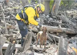  ??  ?? LOS ANGELES firefighte­r Jeffrey Neu gives water to Faith, a search dog, as they comb through a wood pile for bodies Sunday in Montecito Creek.