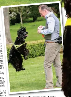  ?? Pictures: © PENGUIN BOOKS / STEVE MURPHY ?? Super sleuth: Spaniel Molly. Above, with co-detective Colin