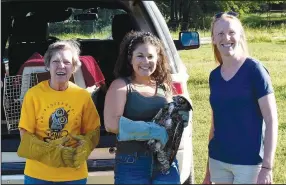  ?? (Courtesy photo) ?? Lynn Sciumbato (from left), Madison Kennedy and Emily Warman have worked together on dozens of wild bird rehabilita­tion cases.