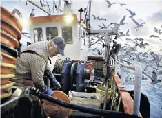  ??  ?? The skipper of the Harvest Reaper gutting fish about 18 miles off Newlyn, Cornwall