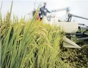  ?? CT NETWORK / REUTERS ?? El consumo de fertilizan­tes descendió en la campaña 2016-17 un 1,1% en la UE