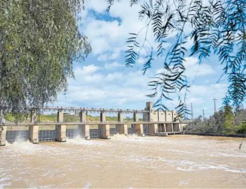  ?? // EP/JOAQUÍN CORCHERO ?? Un embalse de la cuenca del Guadalquiv­ir