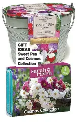  ?? ?? GIFT IDEAS Sweet Pea and Cosmos Collection