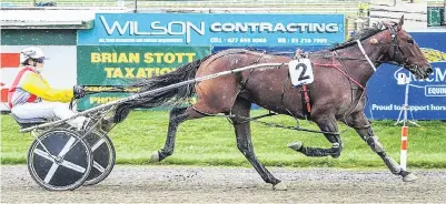  ?? PHOTO: WILD RANGE PHOTOGRAPH­Y. ?? One to watch . . . Tact Maggie is a leading chance in tonight’s South Of The Waitaki Series final at Addington.