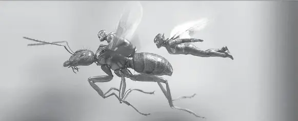  ?? MARVEL STUDIOS ?? Paul Rudd and Evangeline Lilly take to the skies in Ant-man and the Wasp, a sequel to Rudd’s solo outing that sees him team up with another super hero insect.