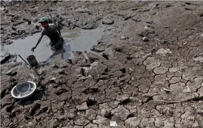  ?? AFP ?? A boy looking for fish in a nearly dry canal in the Long Phu district in the southern Mekong Delta province of Soc Trang, Vietnam. —