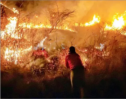  ?? Foto Iván Sánchez ?? ▲ Jóvenes veracruzan­os salieron de sus casas con el fin de ayudar en las labores de mitigación del fuego, para lo cual se coordinan con soldados y bomberos.