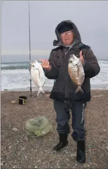  ??  ?? Les gros sars sont surtout de plage, mais la présence de roches ou de galets est conseillée.