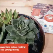  ??  ?? Salah Essa enjoys making cacti arrangemen­ts