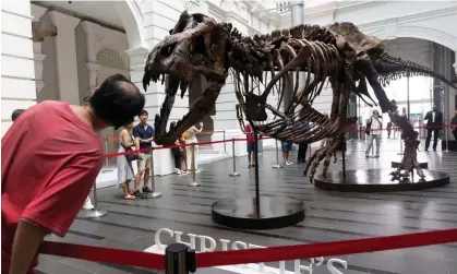  ?? Photograph: How Hwee Young/ EPA ?? Visitors look at the skeleton of the T rex named ‘Shen’ during a Christie’s preview in Singapore in October.