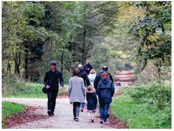  ??  ?? La forêt accueille près de 3 millions de visiteurs par an.