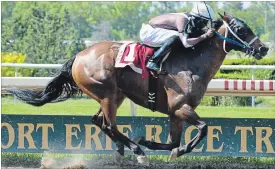  ?? MICHAEL BURNS TORSTAR FILE PHOTO ?? The Prince of Wales Stakes isn’t the only marquee event at Fort Erie Race Track this summer. There will also be a chicken wing festival on July 14 and wiener dog races on Aug. 11.