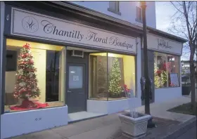  ?? DAN SOKIL - MEDIANEWS GROUP ?? Decorated Christmas trees stand in the windows of Chantilly Floral, located at Main and Walnut Streets in Lansdale, ahead of the formal start of the town’s annual Christmas Tree Display which officially begins tonight.