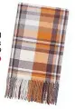 ??  ?? THE SCARF HIM: Check textured scarf, zara.com, was £19.99, now £9.99
SAVE: £10