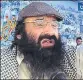  ??  ?? Hizbul Mujahideen chief Syed Salahuddin