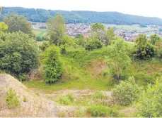  ?? FOTO: FRANK CZILWA ?? Mit Dämmen versehen könnte die ehemalige Kiesgrube oberhalb von Dürbheim im Bedarfsfal­l als Regenrückh­altebecken dienen.