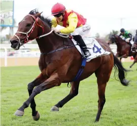  ??  ?? FLUENT WIN. Ice Machine (Anton Marcus) flies up on the outside of the track to win the Independen­t On Saturday Drill Hall Stakes over 1400m at Greyville on Saturday.