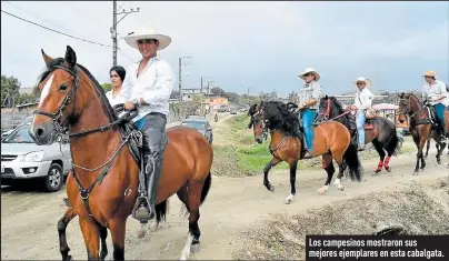  ?? Fotos: Evelyn Centeno / EXTRA ?? Los campesinos mostraron sus mejores ejemplares en esta cabalgata.