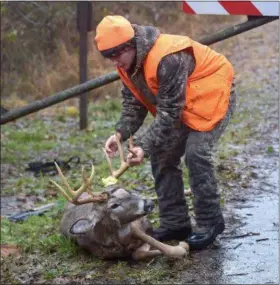  ?? PETE BANNAN — DIGITAL FIRST MEDIA ?? Michael Finger Jr. moves his 10-point buck at Marsh Creek Monday.