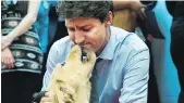  ?? CP ?? Service dog Cooper welcomes Prime Minister Justin Trudeau to an event Thursday in Burlington, Ont.