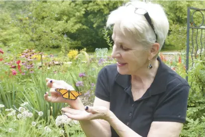  ?? DONALD MACNEIL ?? Kay MacNeil releases a young monarch butterfly in her yard in Frankfort. MacNeil has turned her kitchen into a monarch nursery, where the insects are free to safely hatch from eggs into caterpilla­rs, and subsequent­ly transform into butterflie­s.