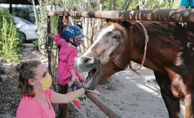  ??  ?? Horsepuppy reacts patiently and with humor as Jenna Davis and her 5-year-old daughter, Zia, pay a visit.