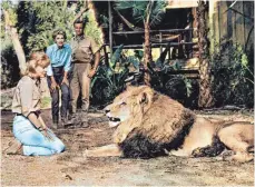  ?? FOTO: IMAGO ?? Cheryl Miller, Betsy Drake und Marshall Thompson mit dem schielende­n Löwen Clarence.