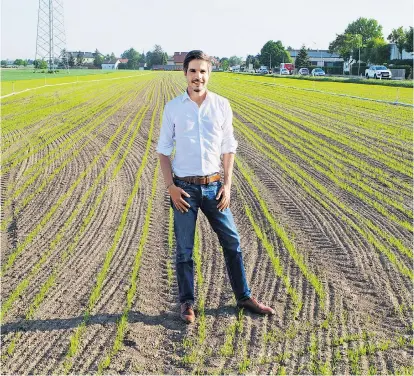  ??  ?? Gregor Neumeyer auf seinem Reisfeld in Gerasdorf. Durch die Trockenanb­aumethode benötigt das Getreide in etwa gleich viel Wasser wie der Spargel, der auf dem Nachbarack­er wächst.