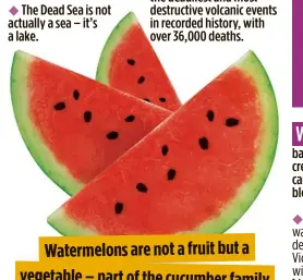  ??  ?? Watermelon­s arenot afruit but a vegetable –part of the cucumber family