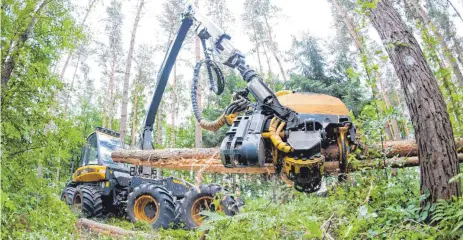  ?? FOTO: DPA ?? Ein sogenannte­r Harvester bei der Waldarbeit: Nach dem Willen der Grünen sollen die Regeln für das Bewirtscha­ften der Wälder in Baden-Württember­g strenger werden, um den Boden stärker zu schützen.
