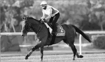  ?? NEVILLE HOPWOOD ?? Mishriff trains at Meydan on Tuesday. He will break from the outside gate in the 10-horse, 1 1/2-mile Sheema Classic.