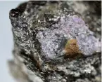  ?? ?? Scientists discovered hints of ancient life inside a 2.5-billion-year-old ruby