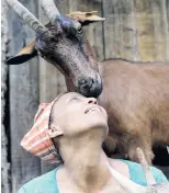  ??  ?? Say cheese . . . (clockwise from top) Agitu Idea Gudeta takes her goats up the mountain at Valle dei Mocheni; she talks on the phone while choosing a cheese for a client; owner and goat share a moment.