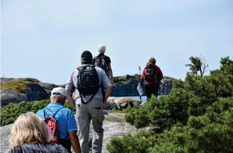  ?? Bild: THOBIAS NILSSON ?? NATURVANDR­ING. Gunnel Turpeinen leder vägen på Saltö.