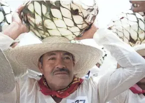  ?? GETTY IMAGES ?? Mexican farmers called “jimadores” carry the pulpy center of agave plants in Guadalajar­a, Mexico. Volaris Airlines will begin service between Milwaukee and Guadalajar­a in March.