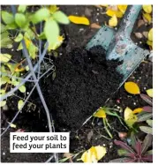  ??  ?? Feed your soil to feed your plants