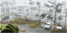  ?? Foto: Hector Retamal, afp ?? Der Hurrikan „Maria“riss gestern auf der zu den USA gehörenden Insel Puerto Rico mühelos Bäume zu Boden.