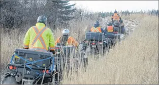  ?? JOE GIBBONS/THE TELEGRAM ?? Members of the Central Avalon Search and Rescue group from Holyrood set out on Friday afternoon to resume searching in their assigned area of Smallwood’s Farm.