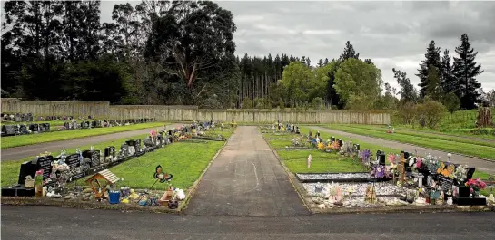  ?? MAIN PHOTO: DAVID UNWIN/FAIRFAX NZ ?? Visitors to Kelvin Grove Cemetery have complained about the number of decoration­s used on gravesites, prompting a review of the bylaw. Below, Jeanna Scott at the gravesite of her son Vincent Drummondpa­ulo, whose headstone design caused controvers­y.