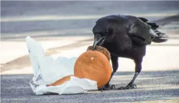  ?? FOTO RR ?? Een hamburger smaakt altijd, maar gezond is het niet.