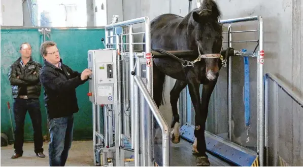  ?? Foto: Hans Jürgen Hege ?? Ein Laufband für Sportpferd­e ist der Verkaufssc­hlager bei Horse Gym 2000, einem Unternehme­n aus Großsorhei­m. Auch prominente Pferdespor­tler, wie Corinna Schumacher oder Wladimir Putin, gehören zu den Kun den von Siegfried Mitzel (am Gerät).