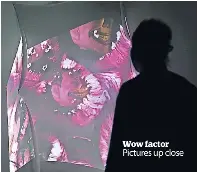  ?? ?? Wow factor Pictures up close