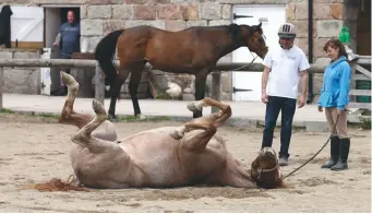  ??  ?? Building a purpose and a sense of community: horseBack uK uses horses to assist veteran servicemen in rebuilding their lives and their place in society following devastatin­g injuries