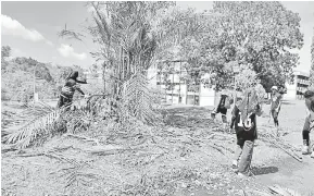 ??  ?? KEMAS: Pemangkasa­n pokok di persekitar­an Kolej Sri Rajang memastikan pertumbuha­n lebih seragam dan kemas.